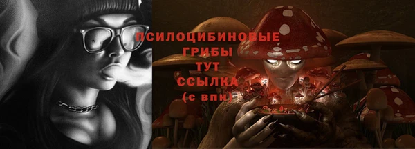 ГАЛЛЮЦИНОГЕННЫЕ ГРИБЫ Верхний Тагил
